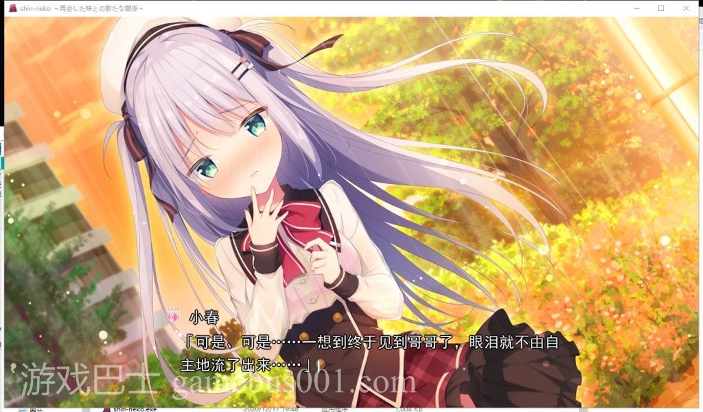 【骨科ADV/汉化/CV】心猫~与再会的妹妹展开全新的关系 汉化修复版 付存档+CG包【新汉化/1.3G】