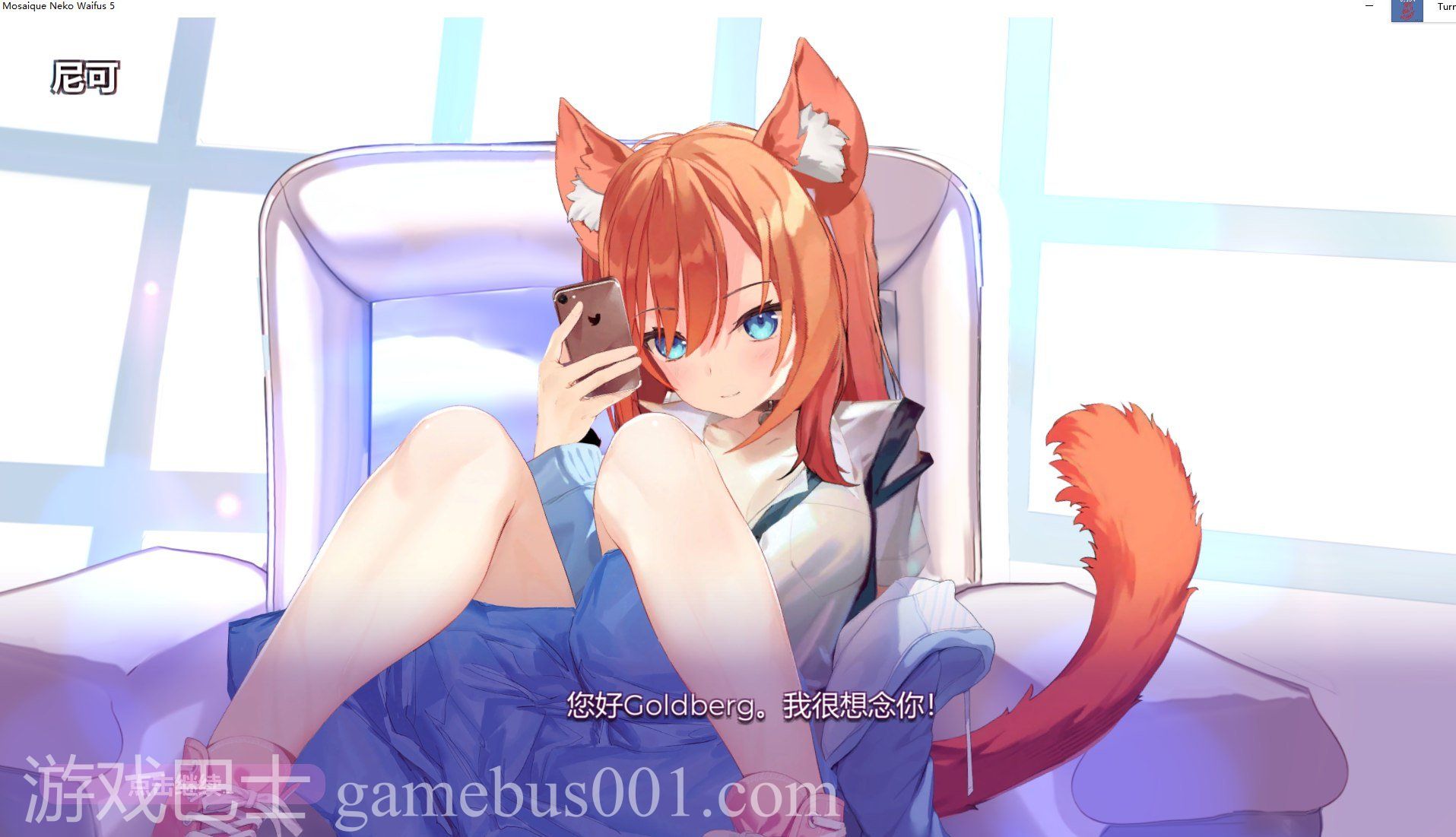 【拼图/中文/全动态】拼图猫娘5 steam中文步兵版【1.3G】