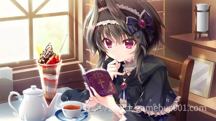 【拔作ADV/汉化/骨科/后宫/PC】9-nine：雪色雪花雪余痕 完整汉化版付全系列作品合集【12.9G/全CV】