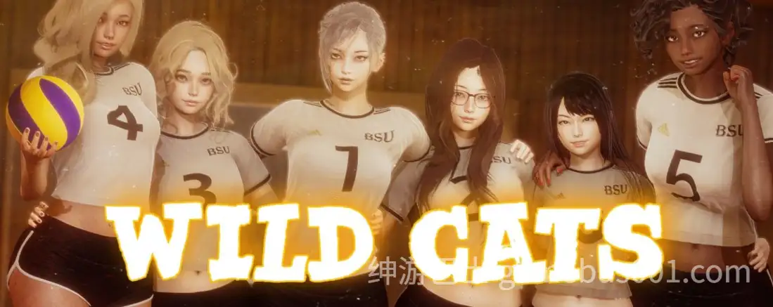 【亚洲SLG精品/官中/后宫/PC+安卓】野猫 Wild Cats Ver0.3 官方中文版【6.19G】