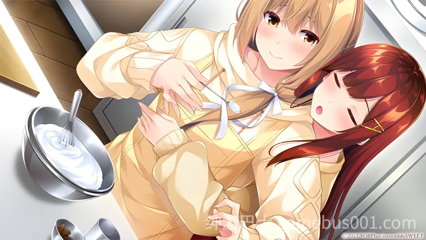 【后宫ADV/汉化/同居/女装/PC】与少女交流的同一屋檐下 乙女とふれあう、ひとつ屋根の下 精翻汉化版+全CG存档【2.37G】