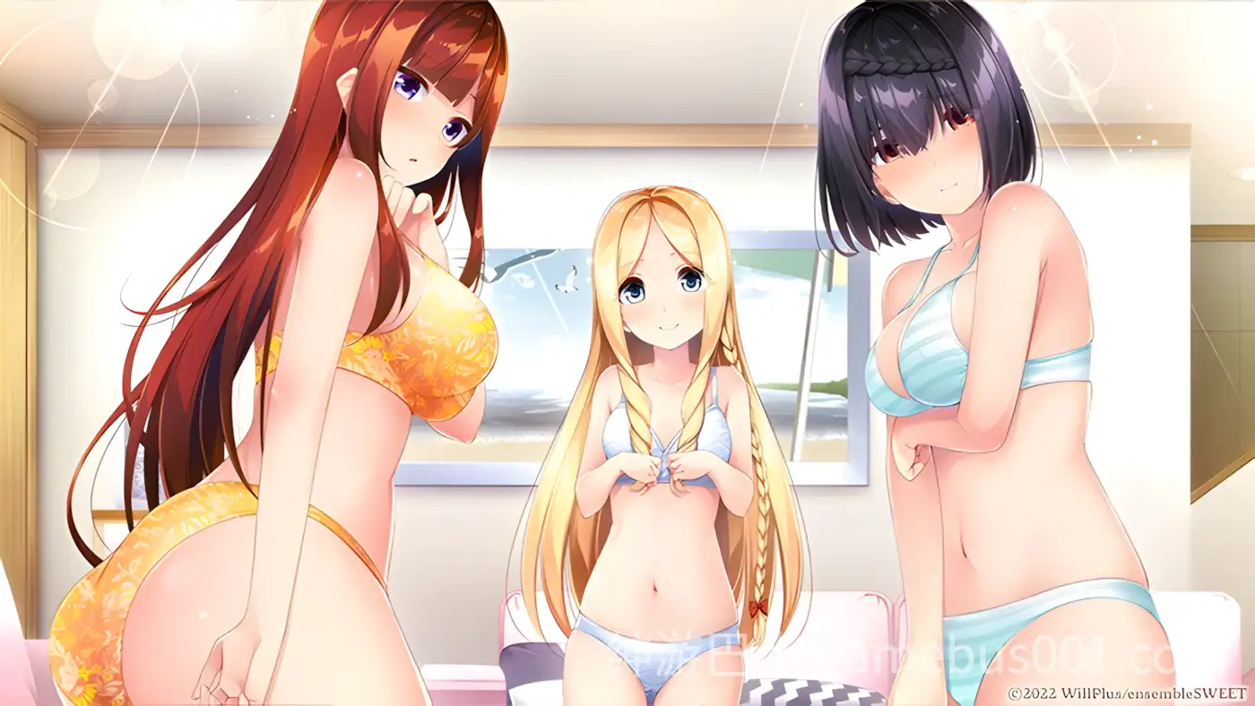 【后宫ADV/汉化/同居/女装/PC】与少女交流的同一屋檐下 乙女とふれあう、ひとつ屋根の下 精翻汉化版+全CG存档【2.37G】