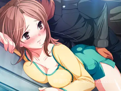 【精品ADV/汉化/恶堕/PC】痴汉专用车厢 HD重制版 痴漢専用車両 HDリマスター AI汉化内嵌版+CG存档【3.06G/CV】