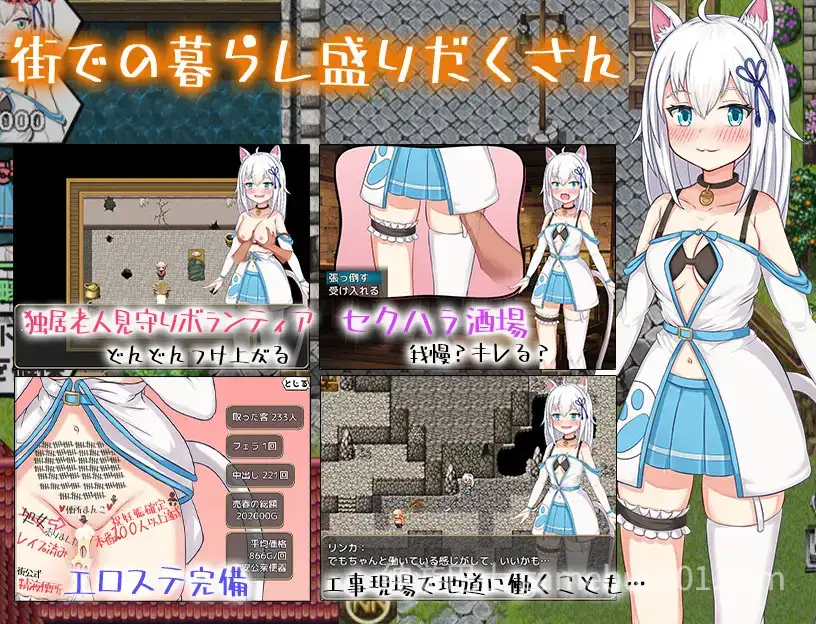 赚钱吧!猫耳娘～异世界卖春SLG～ 稼げ猫耳娘 ～異世界売春SLG～ V1.0 AI汉化版 [PC+安卓】-游戏截图2
