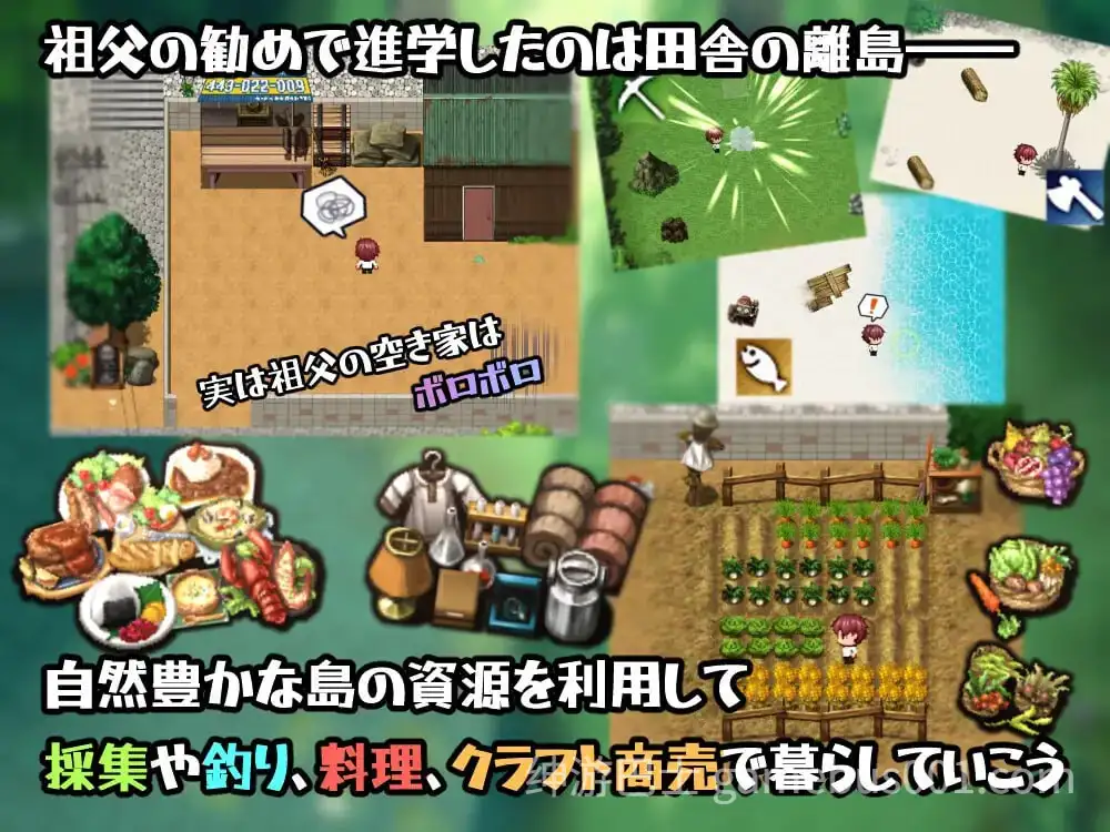 在设有性爱实习的岛屿上 セックス実習のある島で AI汉化版+作弊码 [PC+安卓】-游戏截图0
