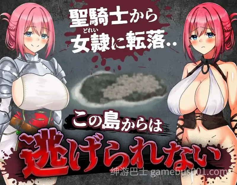 圣骑士莉安娜 监狱岛的奴隶剑斗士 （聖騎士リアナ 監獄島の女隷剣闘士） Ver9.6  [PC+安卓】-游戏截图5