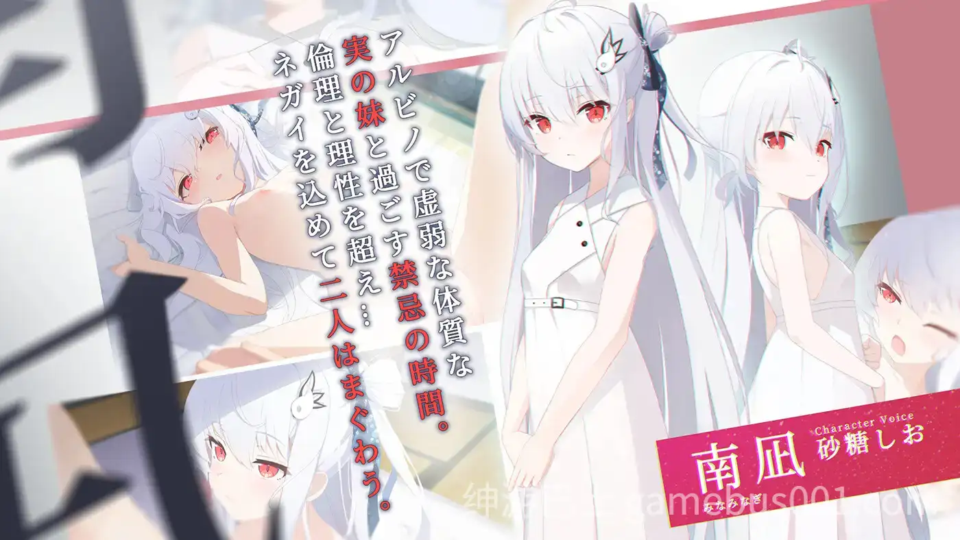 只愿カタネガイ 精翻汉化版 | 日式纯爱ADV-游戏截图3