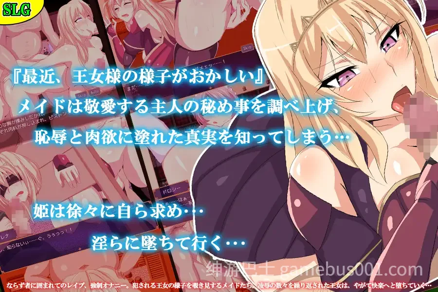 第三王女レナの秘密 汉化版-游戏截图1