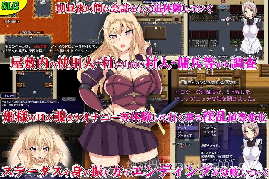 第三王女レナの秘密 汉化版-游戏截图0