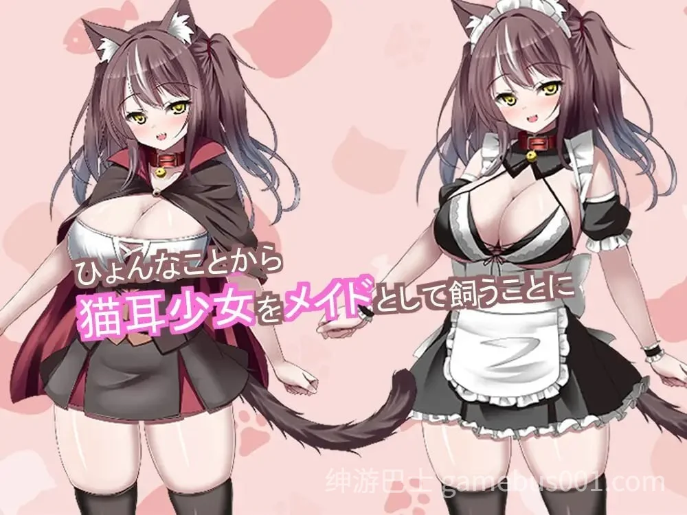 始饲养猫耳女仆 ～与猫耳女仆的甜蜜同居生活～  AI汉化版-游戏截图3
